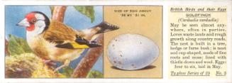 Typhoo Tea Cards: British Birds and their Eggs  - Goldfinch 