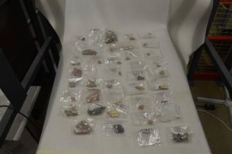 Chapel Park, Belhelvie fieldwalking finds