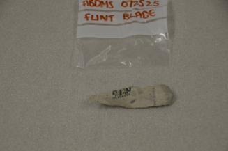 Flint tool