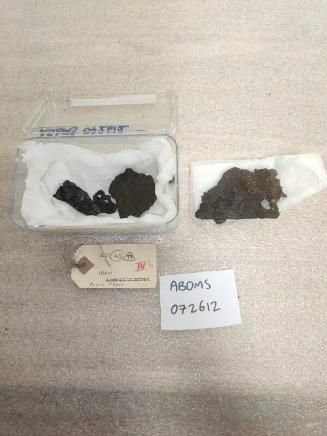 E25 Iron plate fragments x 3