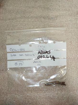 Castle of Wardhouse Iron fragment, possibly nail shaft