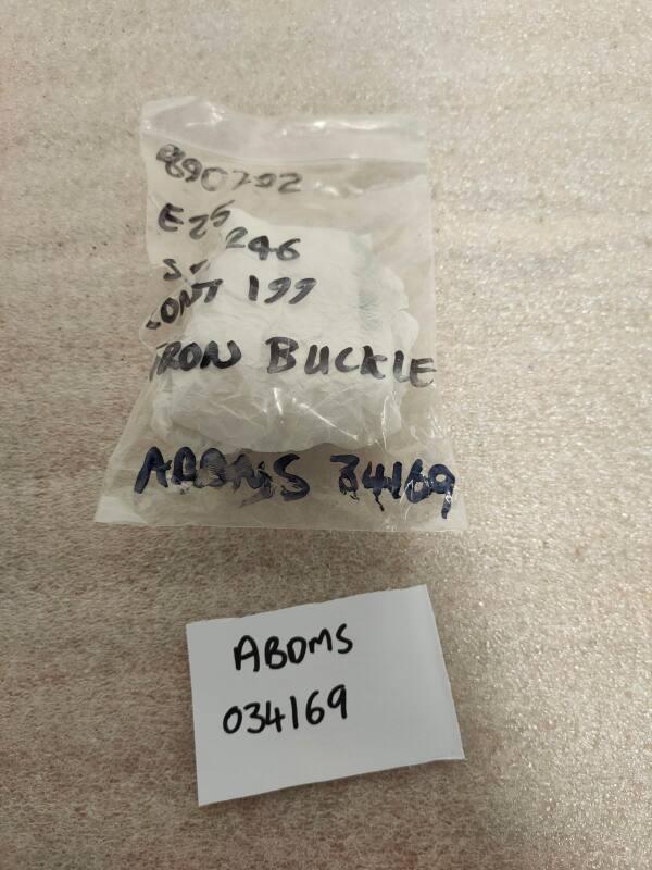 E25 Twin-Looped Buckle