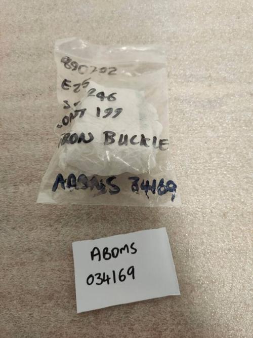 E25 Twin-Looped Buckle