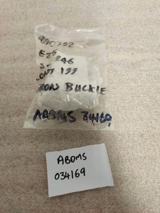 E25 Twin-Looped Buckle