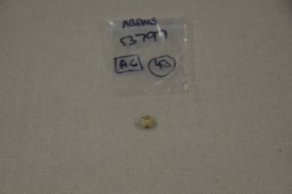 E36 A, Doddie, Clay Marble