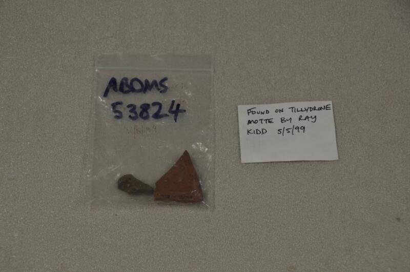 Tillydrone Motte finds