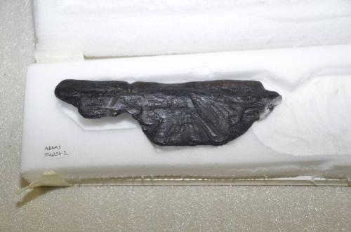 E29 Fragment of carved wood from casket or furniture