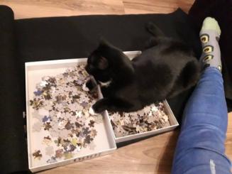 Photograph Of Cat Helping With Jigsaw