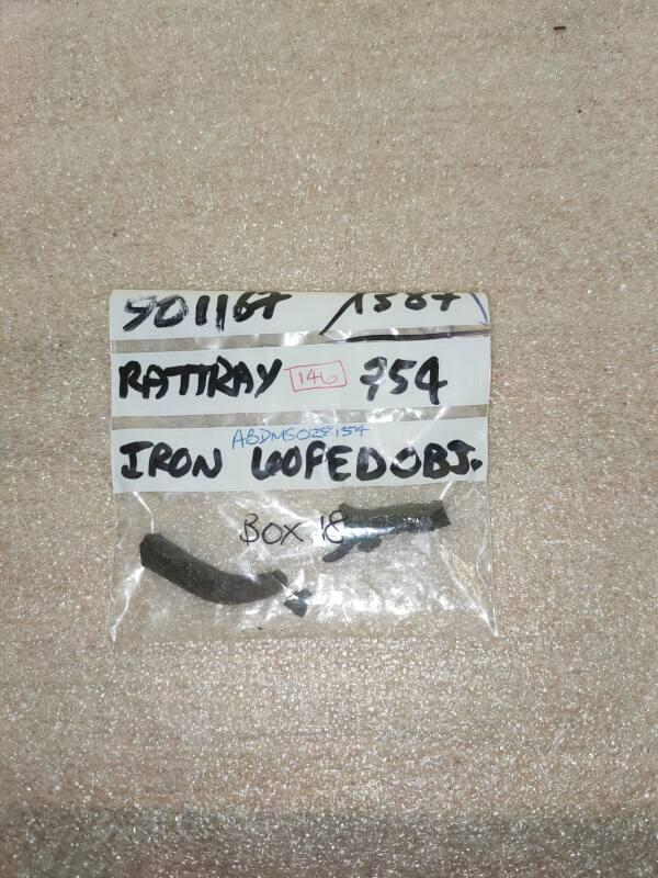 Rattray Buckle Fragments