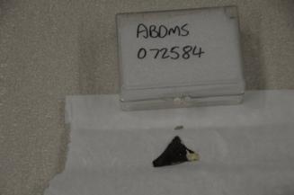 E38 Glass vessel fragment