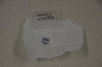 E38 Glass vessel fragment