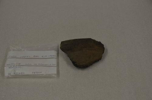 Rim Sherd