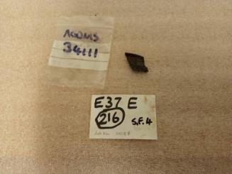 E37 Vessel Fragment