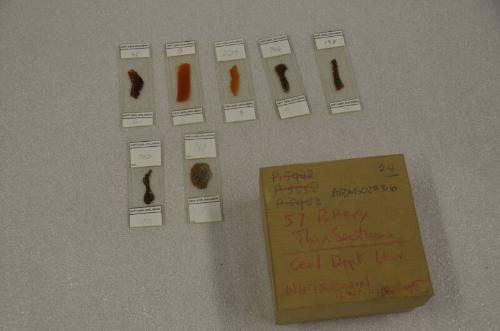 O270 Pottery Thin Sections