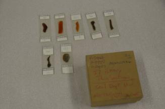 O270 Pottery Thin Sections