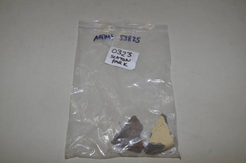 O323 Seaton Park finds