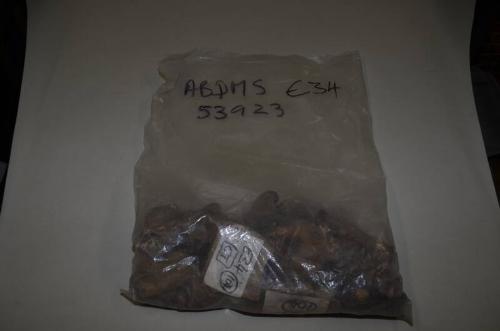 E34 Mixed Finds (organic material flint, pottery, glass, bone and stone)