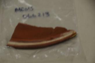 O149 Seaton pottery sherd