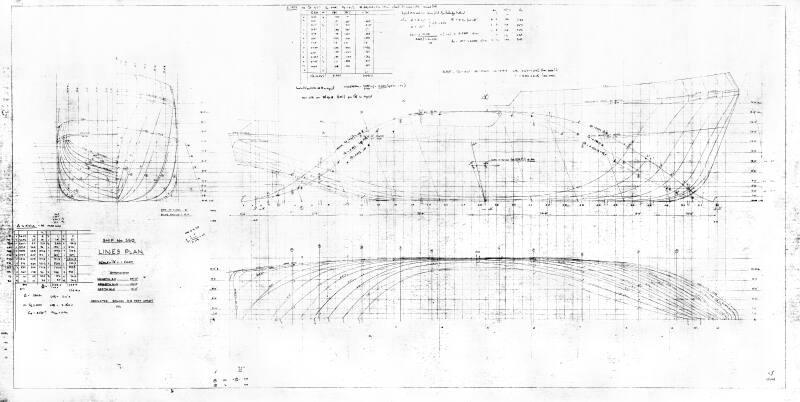 Lady Edwina (350) Lines Plan