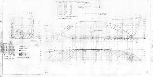 Lady Edwina (350) Lines Plan