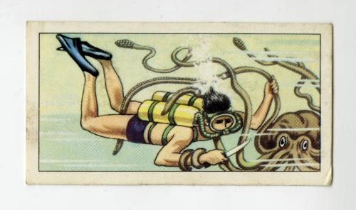 "Wonders of The Deep" NCS Card - Octopus