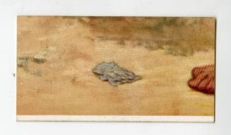 A Famous Picture Series: ''The Boyhood of Raleigh'' Section 39