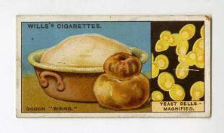 Will's Cigarette Card - ''Do You Know'' 2nd series - No. 50  What Yeast is?