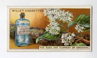Will's Cigarette Card - ''Do You Know'' 2nd series - No. 32  What Quinine is?