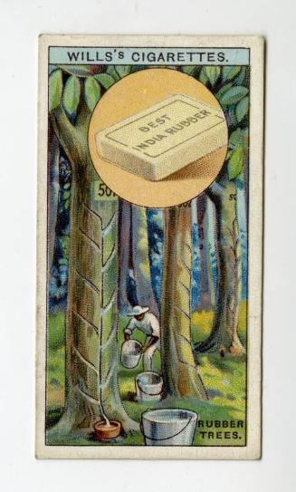 Will's Cigarette Card - ''Do You Know'' 2nd series - No. 25  What India-rubber is?