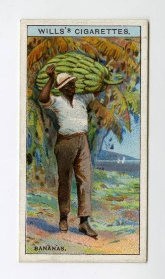 Will's Cigarette Card - ''Do You Know'' 2nd series - No. 5  Where Bananas come from?