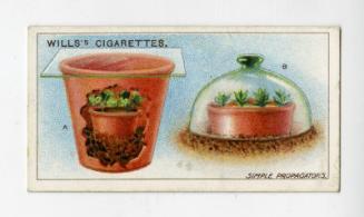 Wills's Cigarettes: Gardening Hints Series - Simple Propagators