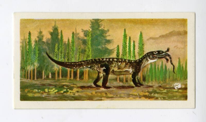 Prehistoric Animals: Mandasuchus