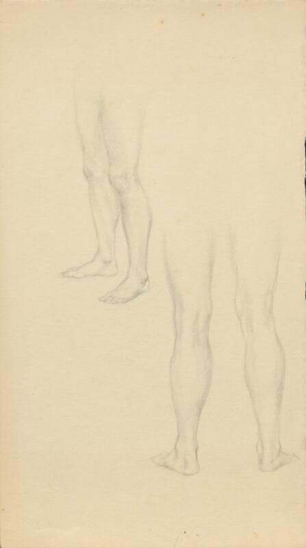 Study of legs