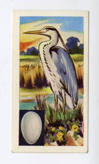 "Birds" NCS Card - Heron