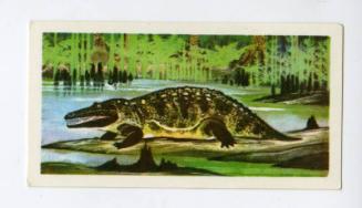 Brooke Bond Tea Card - "Prehistoric Animals" series - No. 3 Eryops