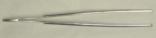 Dissection Forceps