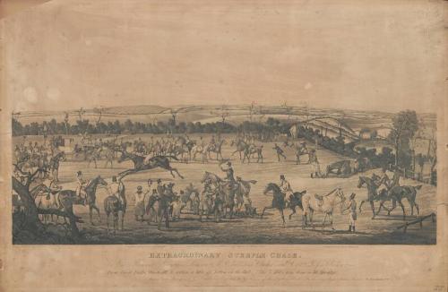 Extraordinary Steeple-Chase