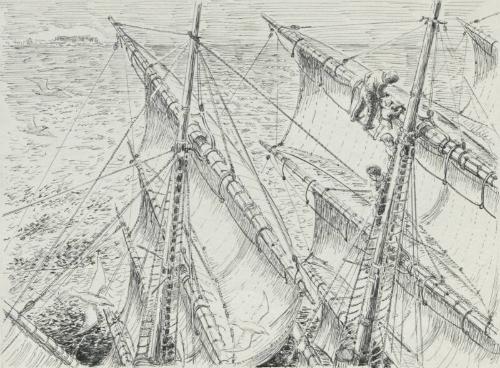 At The Top Of The Main Sail - Illustration For "Sandy The Sailor