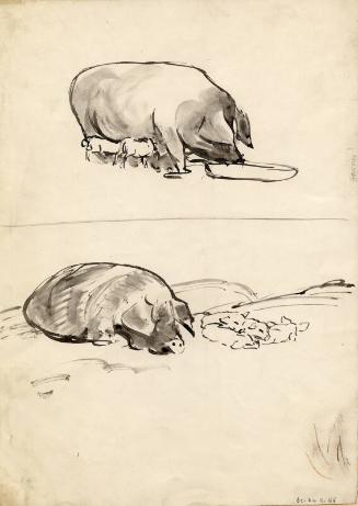 Pig and Piglets by James McBey