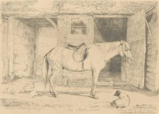 Horse Standing in a Farmhouse