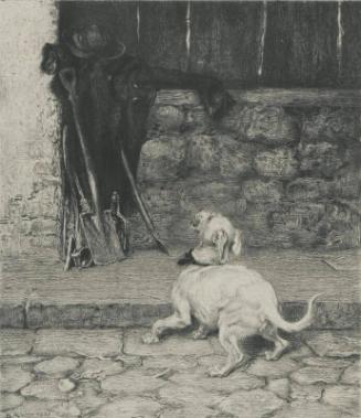 So Full of Shapes is Fancy