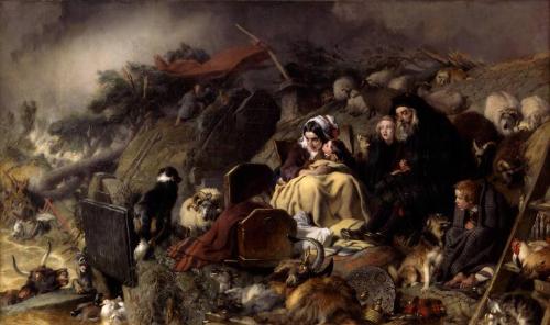 Flood in the Highlands