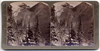 Stereogram of Glacier of the Selkirks, British Columbia, Canada