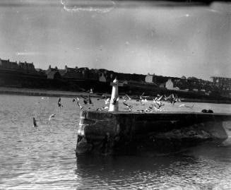 Harbour Light on Abercromby Jetty