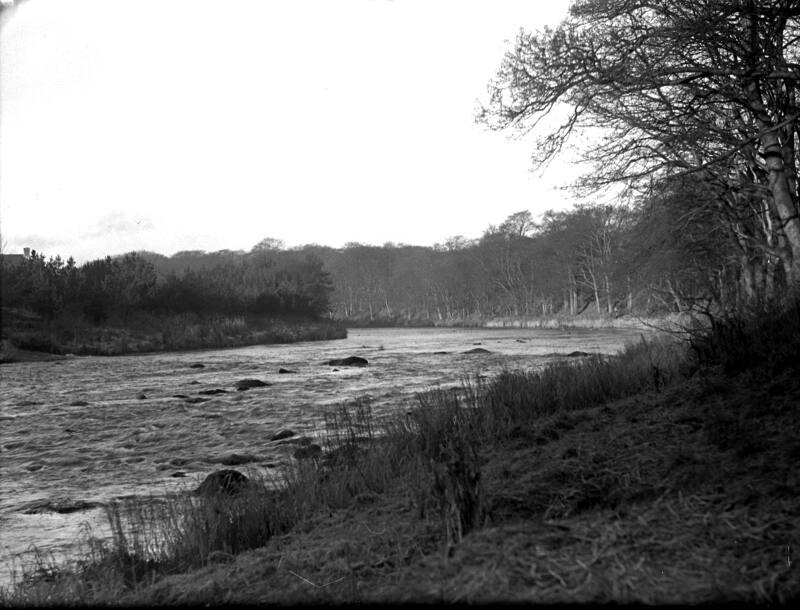 River Don Persley Area