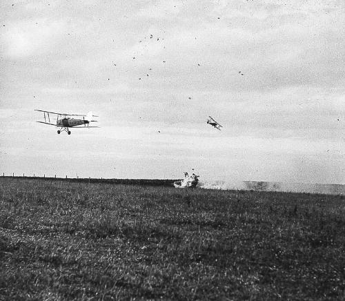 Tiger Moth, Foreground, in Flight