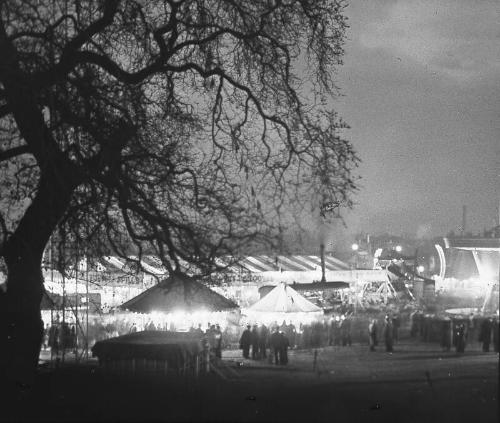 Codonas Carnival by Night  