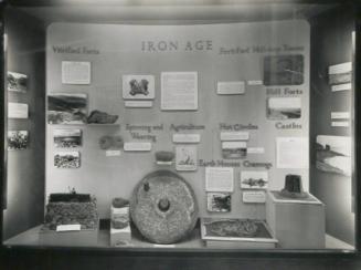 Local Archaeology Case in the Regional Museum, Aberdeen Art Gallery