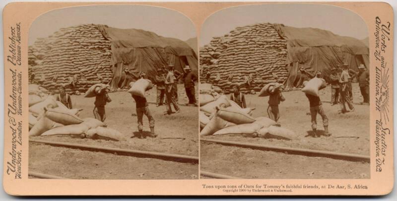 Boer War Stereogram