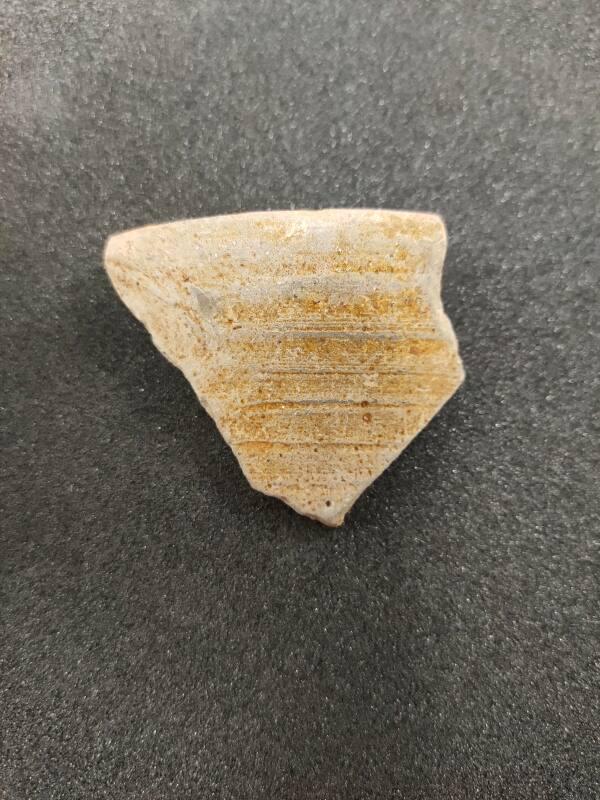 AB/Q/73 Jug Rim Sherd